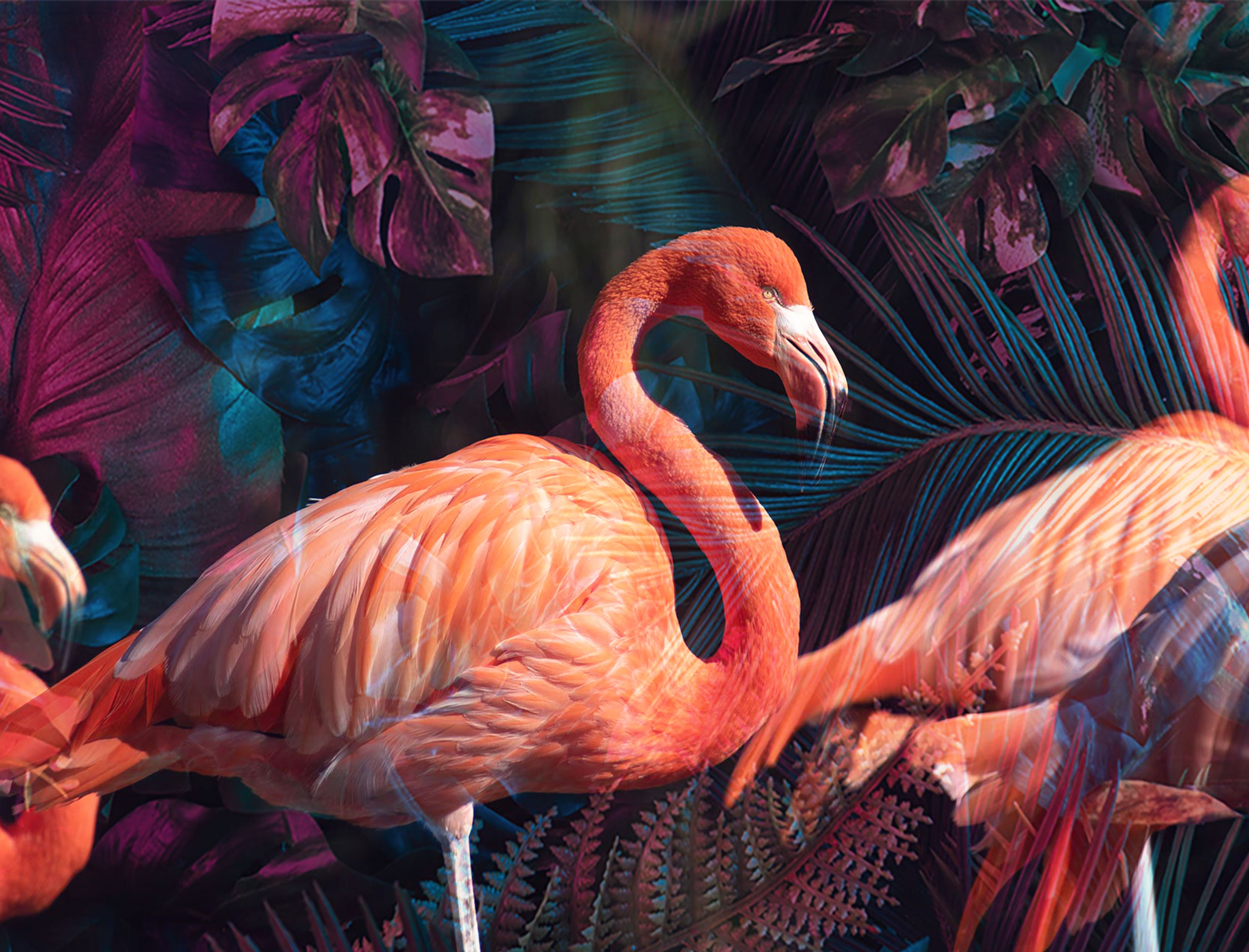Flamingos Wall Art